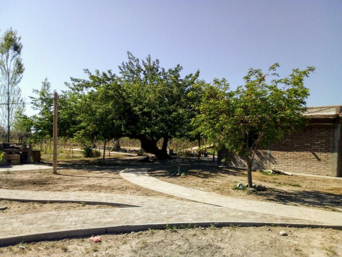 Albardón Cabanas De La Bodega Romano-Pin מראה חיצוני תמונה